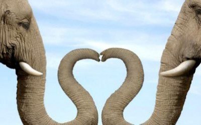 La vie de couple : comment éviter les pièges ?