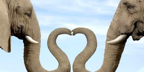 La vie de couple : comment éviter les pièges ?